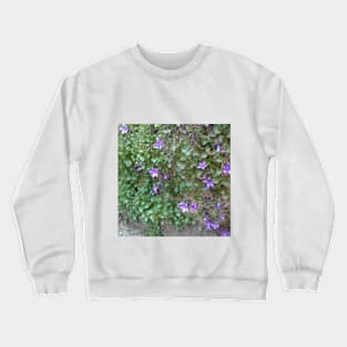 Gentiana Crewneck Sweatshirt